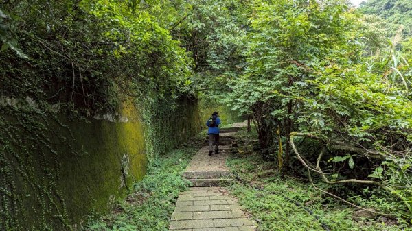 114.05.30大粗坑古道-金瓜石山-小粗坑山之旅2799429