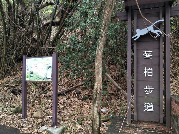 彰化百大：松柏嶺登廟步道1590362