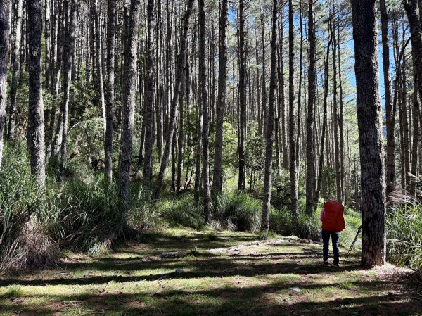 觀雲山莊經小完美谷上畢祿山O繞2917191