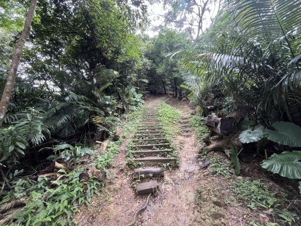 [微笑山線_第三段] 2025_0720 鳶山山系_鳶尾山2843650