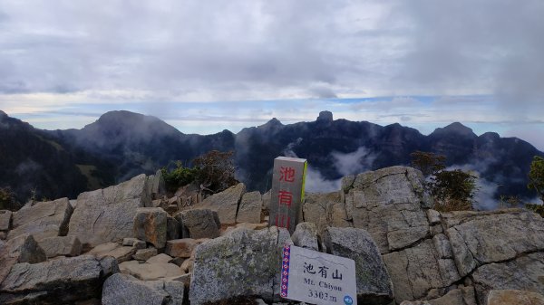 武陵四秀成兩袖(一秀加一宿)1142497