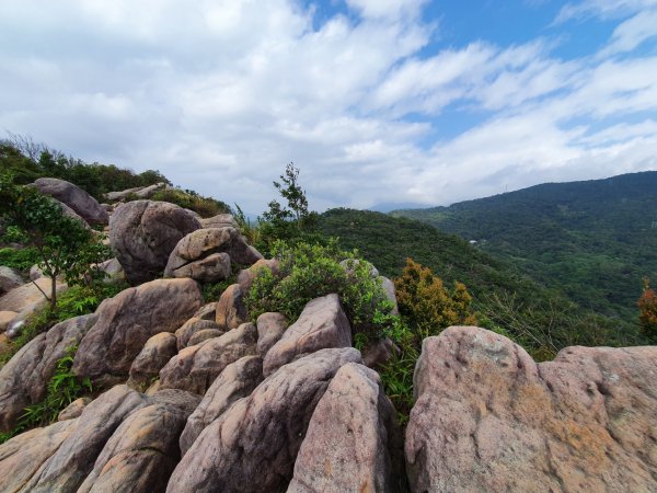 內湖金面山，論劍山，鶯歌蛋山，忠義山，長壽步道，桃園虎頭山公園1613208