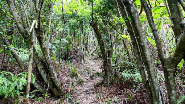大邱田石門洞2856214