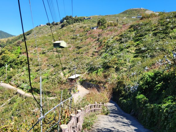 【中級山】馬武霸山，實至名歸的百岳觀景台2937762