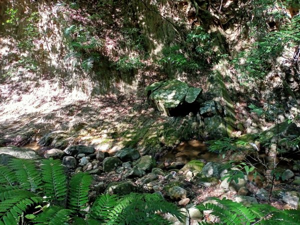 【臺北大縱走 4】山青水明的圓覺寺步道 →鯉魚山小人國步道1425129