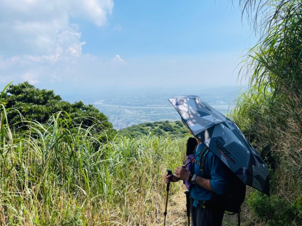 1130804面天山-向天山2567341