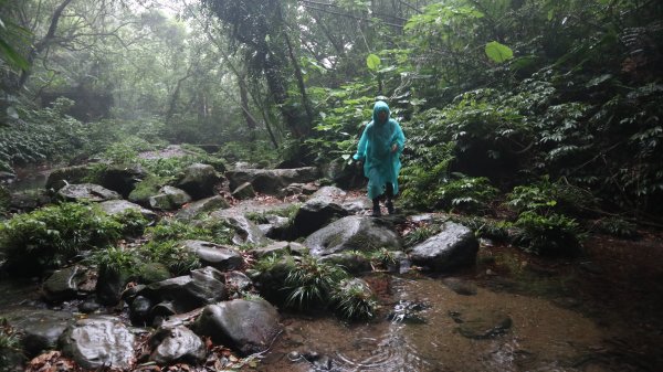 雙石縱走登山健行趣(小百岳24號&25號)2169517