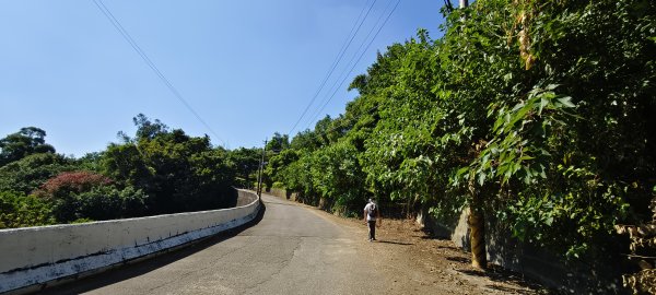 2025/10/05_四角坪道2905294