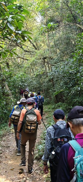 2026-0412 奇岩山_唭哩岸山_丹鳳山_軍艦岩3034885