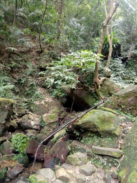 三峽鳶山+鳶山彩壁+五十分山(茅埔路起登)1876725