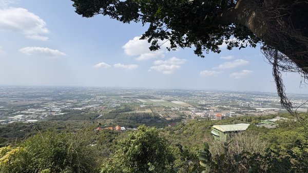 尋仙、鑽洞、啖肥雞