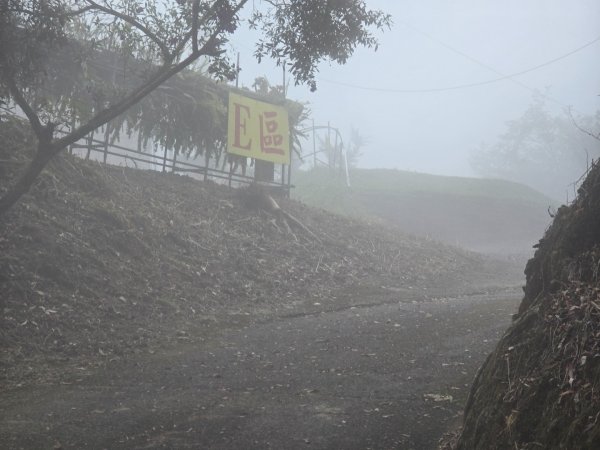 馬那邦山之雲海／雲瀑／楓紅／太陽琉璃光2668318