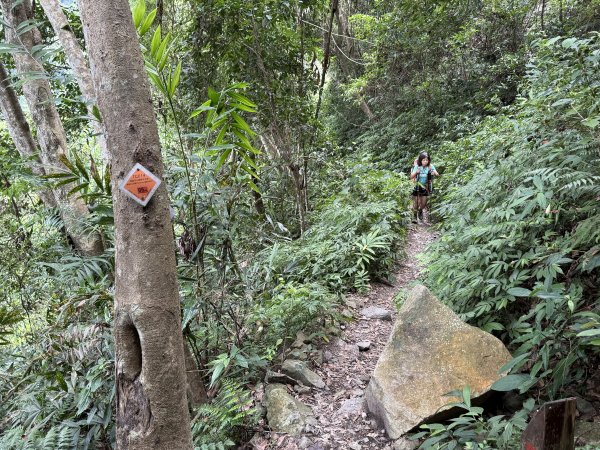 唐麻丹+蝴蝶谷O繞2887851