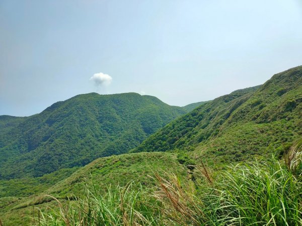 [走遍陽明山］：絹絲瀑布步道+金包里大路+金山老街2186419