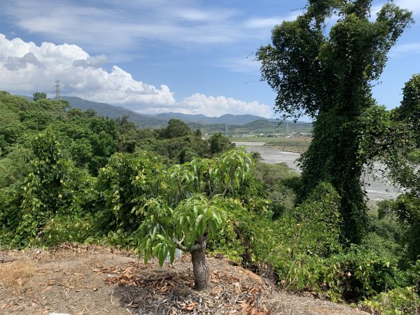 20250503屏東埔姜山2781507