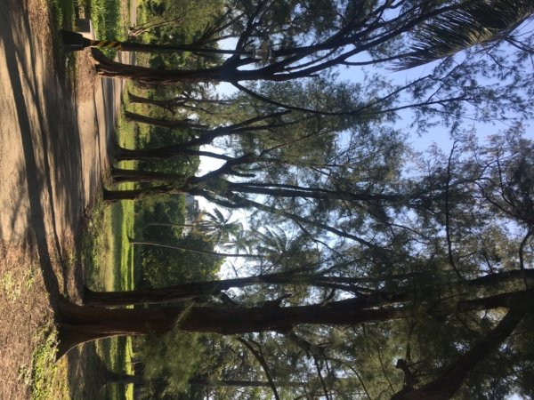 永康糖廠三崁店社遺址、迎曦湖、道爺湖、樹之谷、霞客湖2701617