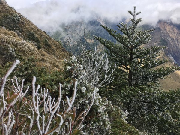 八通關山、八通關山西峰、秀姑巒山526156