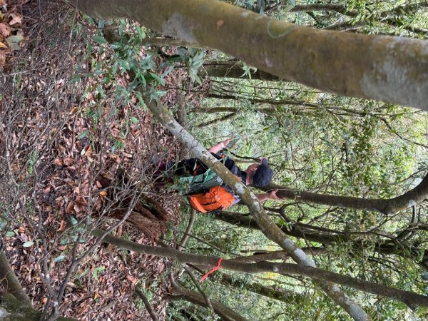 桂山路197巷 》呂奔山北峰 》呂奔山 》阿玉壩2755815