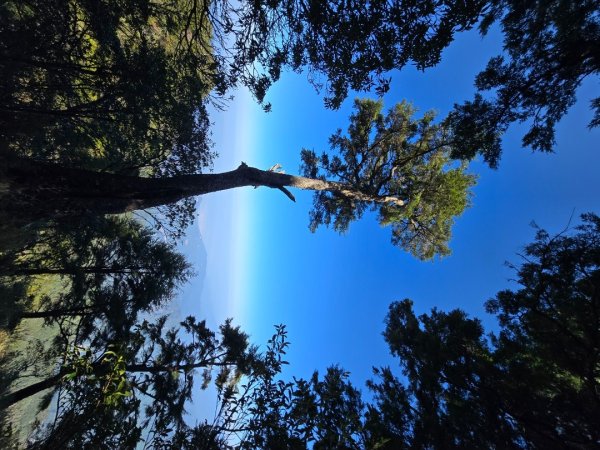 卓社大山〔武界栗栖溪登山口起登〕2748496