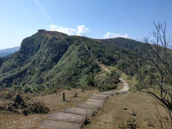 草嶺古道＆灣坑頭山(小百岳#82) 2021/2/6