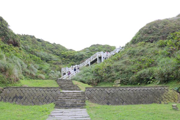 一路向海去~療癒的海景步道望幽谷濱海步道755021