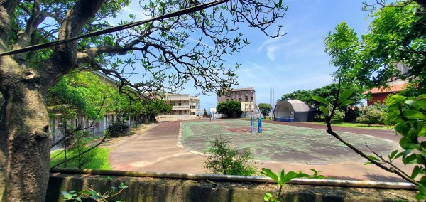 2024-04-20南子吝登山步道2484611