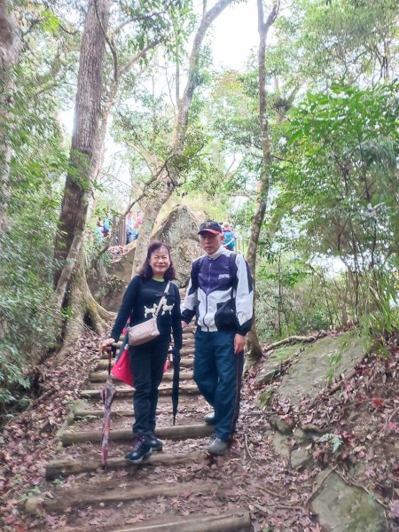 四訪苗栗的花果山-小百岳#037馬那邦山、雪霸國家公園管理處【小百岳集起來、苗栗-臺灣百大必訪步道】2394228