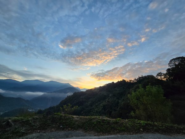 干卓萬山單座百岳驚見‘’萬大豹、水鹿大軍、圓月、雲海、藍天大景2632635