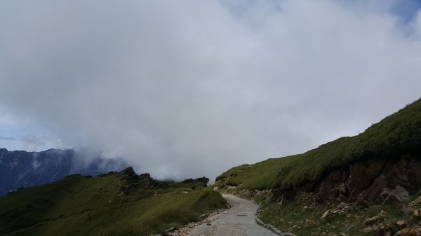 合歡主峰步道 2017 06 06133281