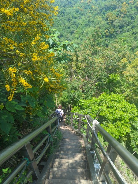 2026.05.02－聚興山步道3045927