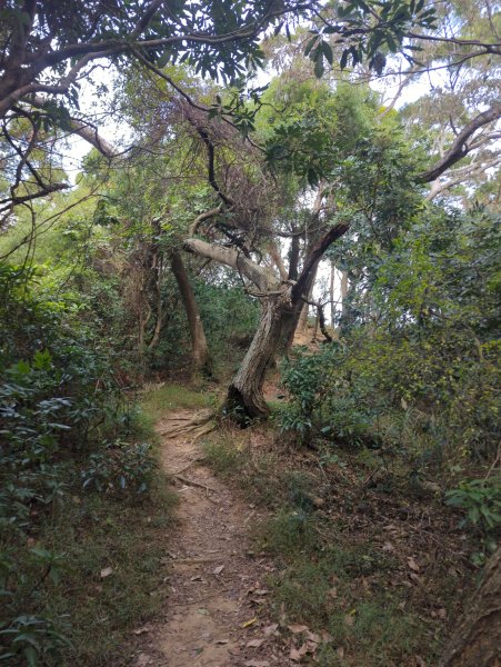 2026.02.08－十八尖山2999391