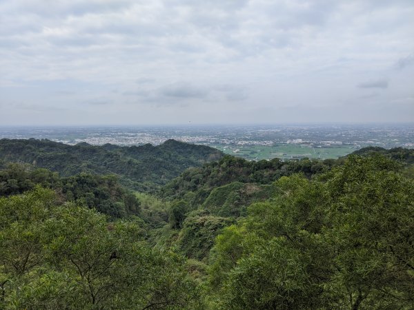 【彰化】清水岩步道群﹣中央嶺造林步道897803