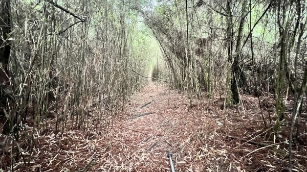 將軍廟上天鑾池上下2162797