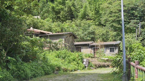 20250723大坑山-深按頭山西峰-334峰-三層崎山2845338