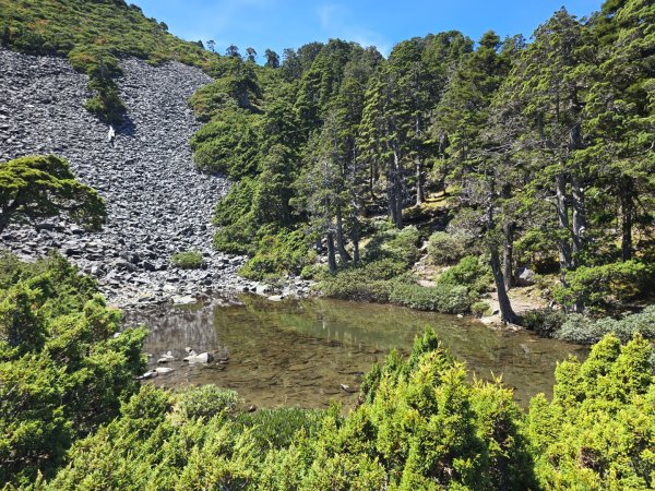 20240927 志雪劍2614915