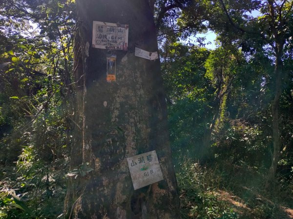 環碧湖［小愛心5連峰縱走］（獅頭山+碧湖山+新坡尾山+竹嵩山+金面山）2393340