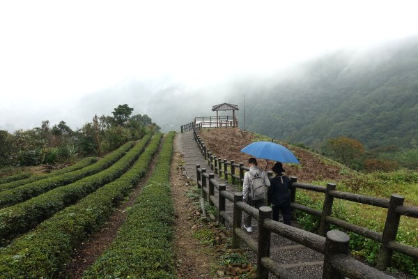 南山寺觀景台3086078