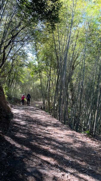 十份棟古道出雲端2688952