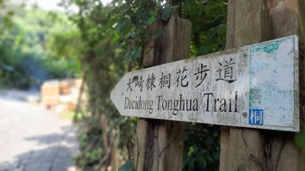 《新竹》石階古道｜橫山大崎棟古道O繞