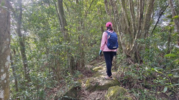(姨婆趴趴走)第四十六集:新竹關西赤柯山及南峰、東西獅頭山、馬福山環狀縱走2685739
