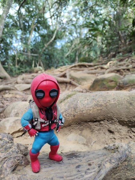 2024.01.02 飛鳳山2832155