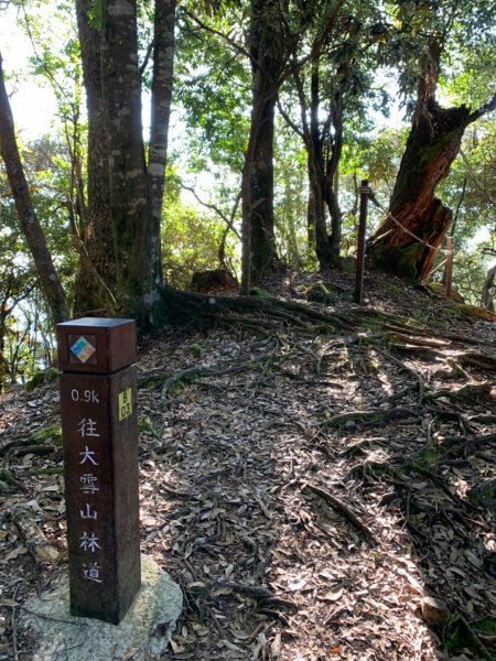 邊緣系山女：稍來山南峰登頂與紅葉未完730675