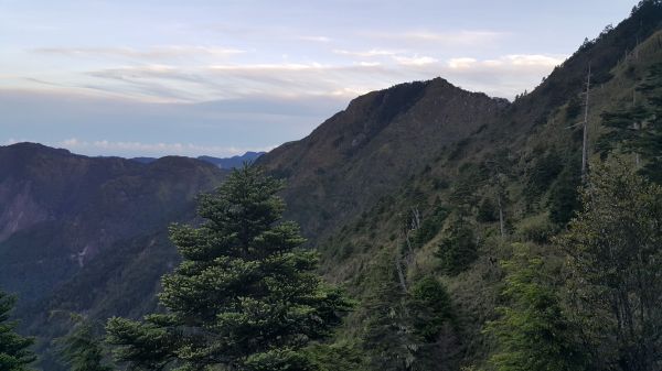 玉山主峰步道 2017 06 27140381