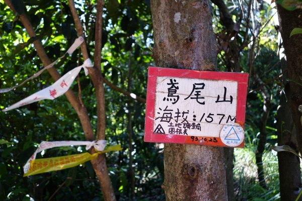 10/6(六)三峽：鳶山－福德坑山(小百岳)－鳶尾山東峰－鳶尾山Ｏ型424453