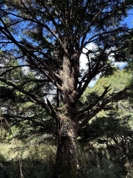 觀雲山莊經小完美谷上畢祿山O繞2917205