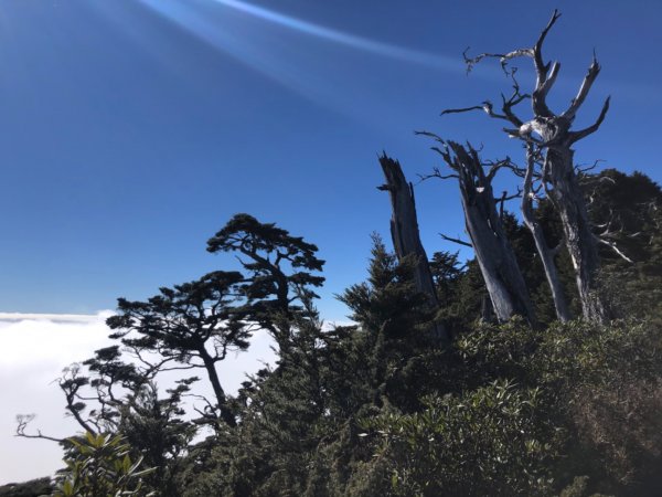 北大武三刷⛰️(一二刷下大雨終於讓我等到大太陽了吧）2078929