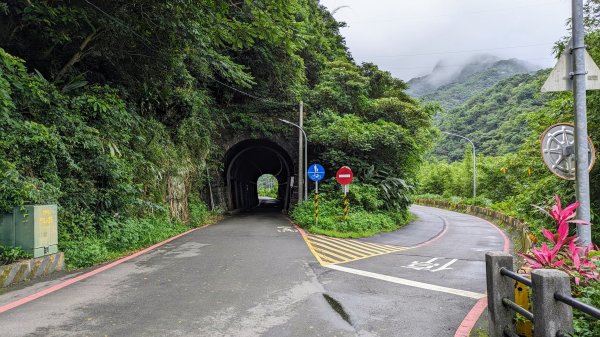 金字碑古道,大粗坑步道2518858