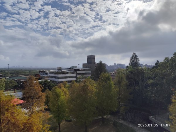 行天宮北投分宮、師大公園、臺北市立美術館2683311