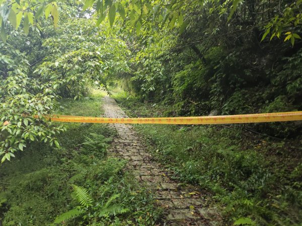 微笑山線：【五分山系】菁桐煤礦段2954738