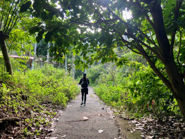 後尖山步道2683549